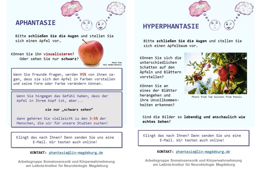 Poster: Was sind Aphantasie und Hyperphantasie?