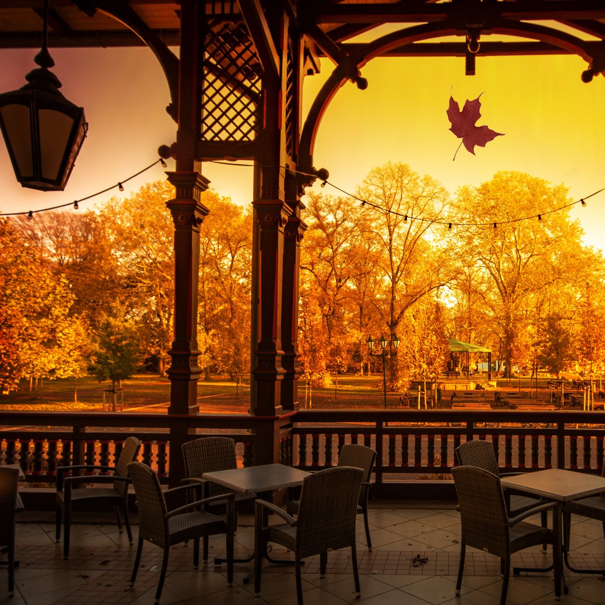 Herbstliche Parkszene in Magdeburg: Blick von der überdachten Terrasse des Herrenkrug Parkhotel mit Tischen und Stühlen auf golden gefärbte Bäume im Park