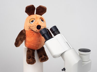 Maus aus "Sendung mit der Maus" sitzt am Mikroskop