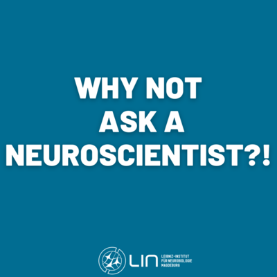 Why not ask a neuroscientist?