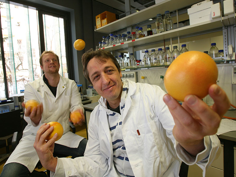 Frank Maddeo zeigt eine Grapefruit