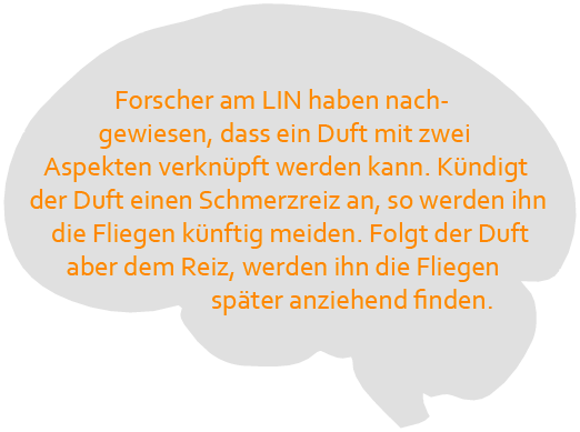 lin magdeburg lin magdeburg