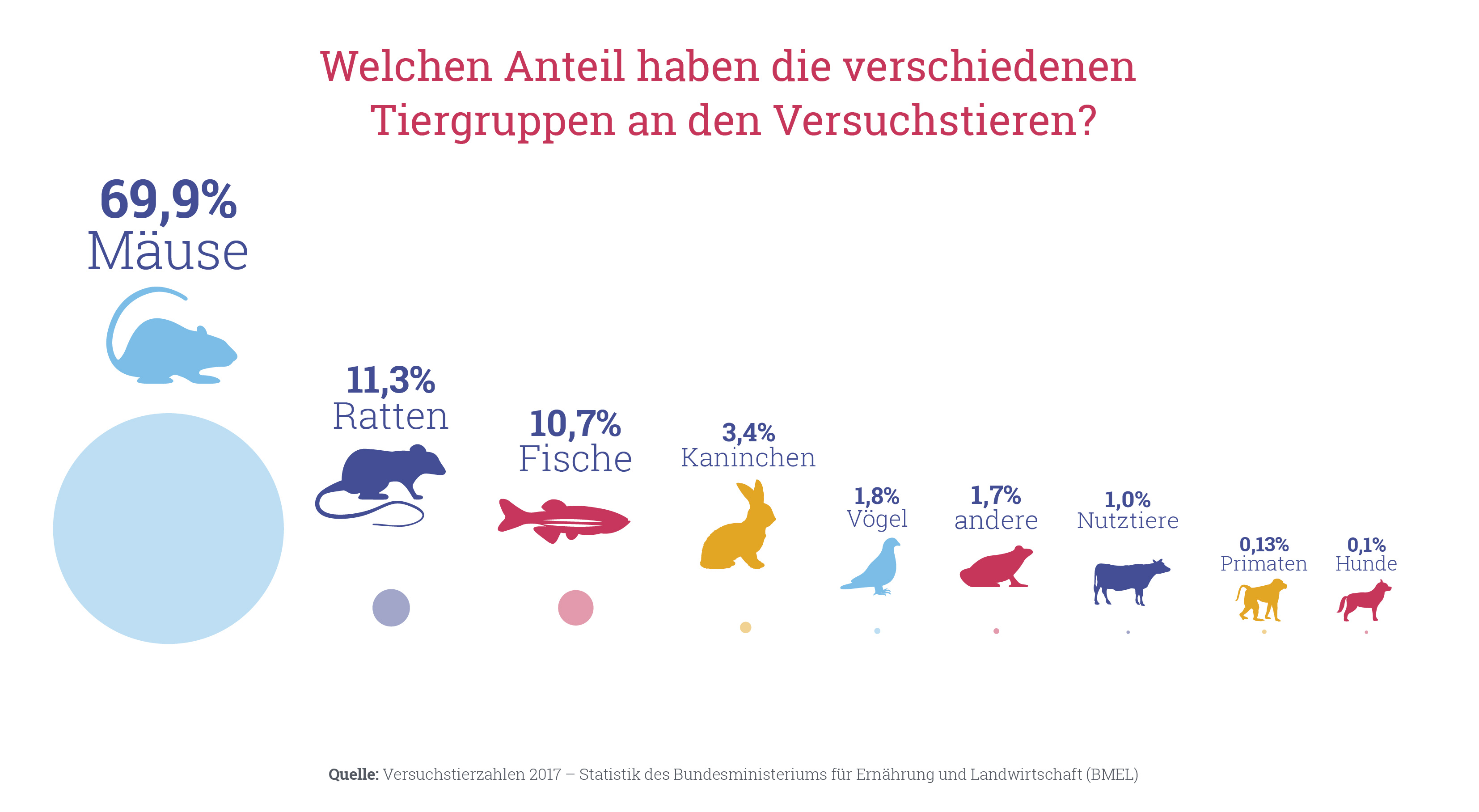 Tierversuche verstehen » Leibniz Institute for Neurobiology (LIN)