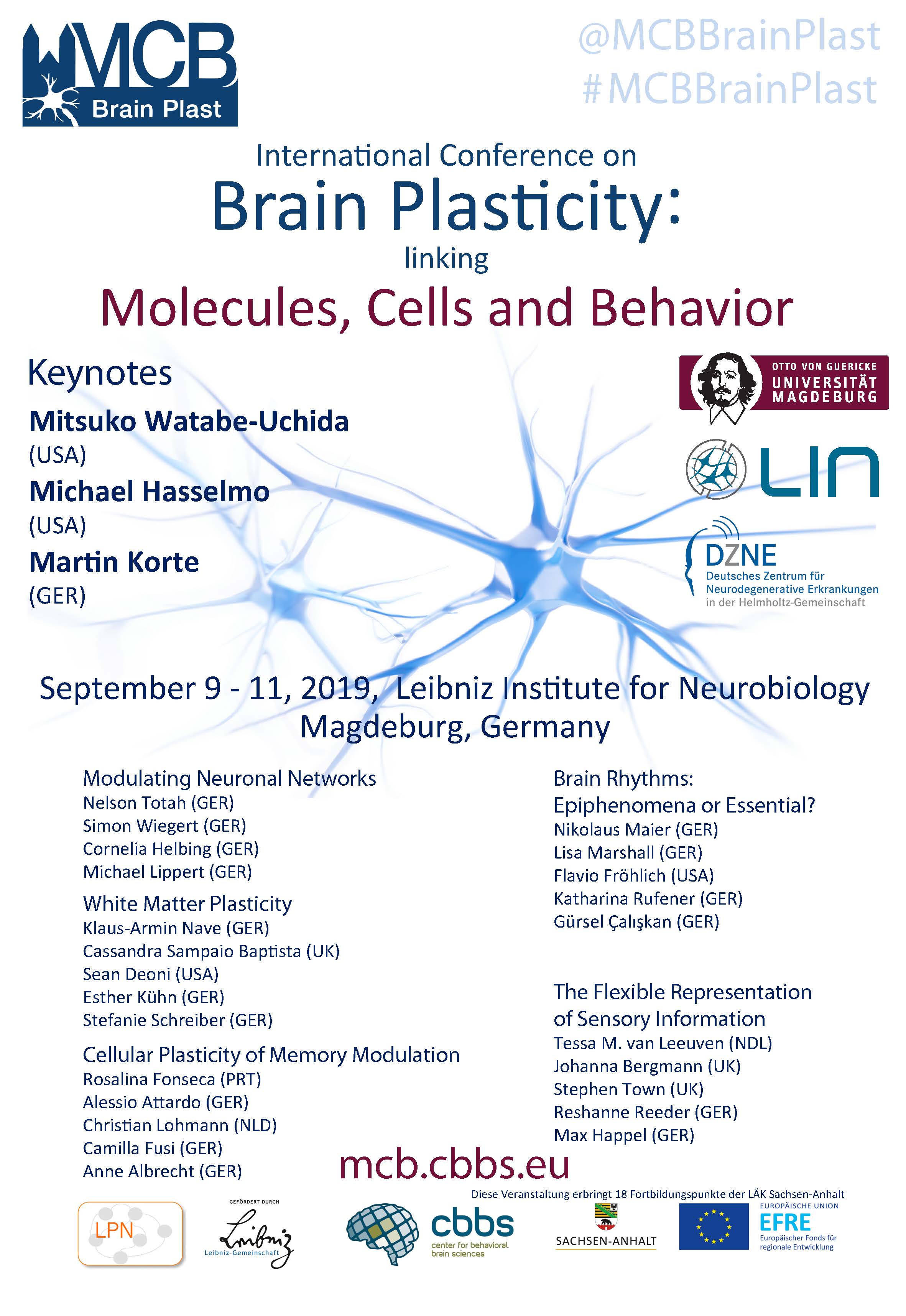 MCB Brain Plast Conference II » Leibniz Institute for Neurobiology (LIN)